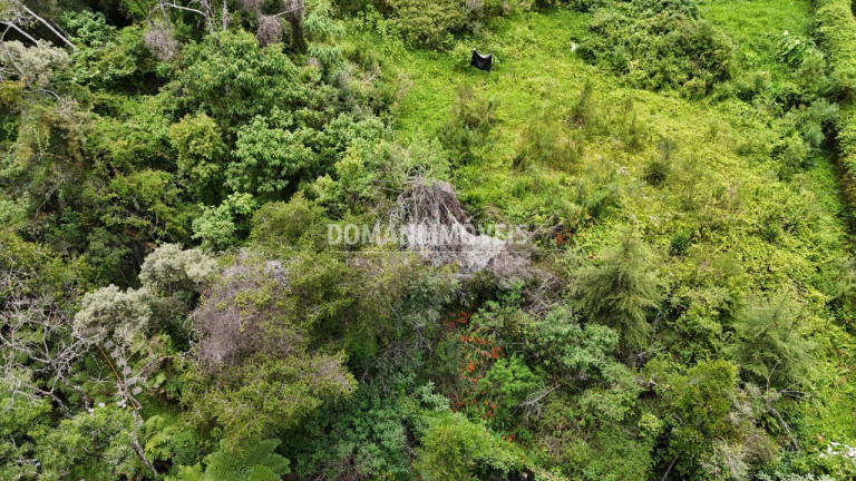 Imagem Terreno à Venda, 1.590 m² em Região De Capivari - Campos Do Jordão