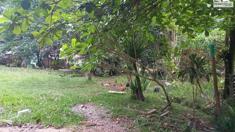 Imagem Chácara à Venda, 30.000 m² em Zona Rural - Adrianópolis Imagem Chácara à Venda, 30.000 m² em Zona Rural - Adrianópolis
