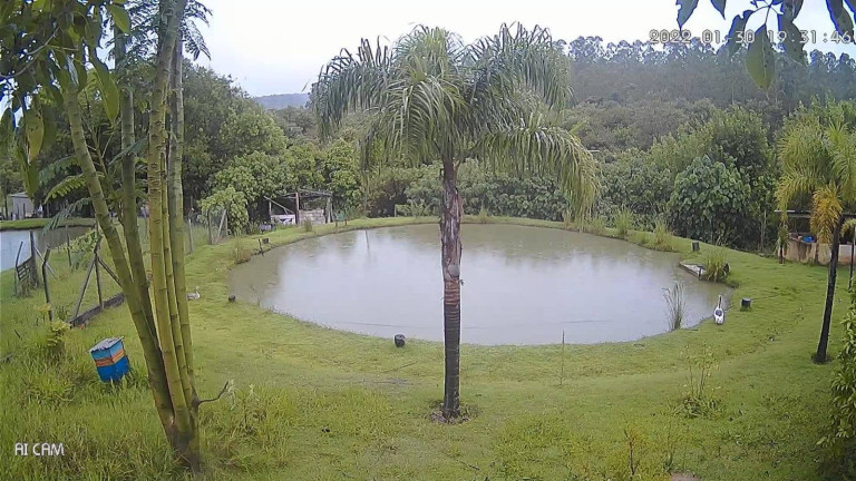 Chácara com 3 Quartos à Venda, 5.000 m² em Margens Da Raposo Tvares - Alambari