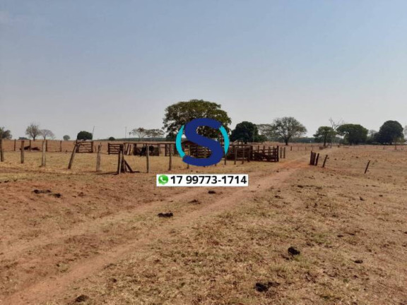 Imagem Chácara à Venda, 6 m² em Rural - Populina Imagem Chácara à Venda, 6 m² em Rural - Populina