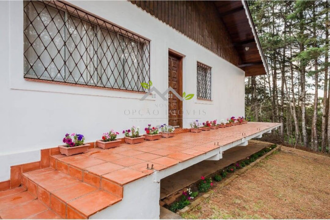 Imagem Casa com 4 Quartos à Venda, 1 m² em Vila Nova Suíça - Campos Do Jordão