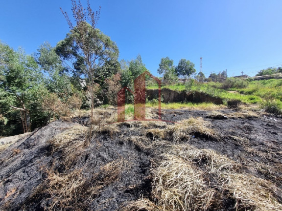 Terreno à Venda, 601 m² em Jardim Alegria - Francisco Morato