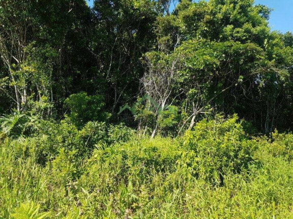 Terreno à Venda, 312 m² em Salinas - Balneário Barra Do Sul