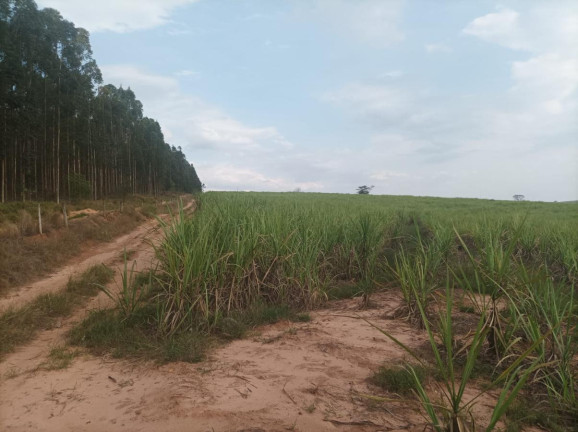 Imagem Fazenda à Venda, 97 m² em Rural - Piracicaba Imagem Fazenda à Venda, 97 m² em Rural - Piracicaba