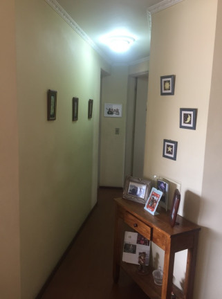 Imagem Apartamento com 3 Quartos à Venda, 74 m² em Santa Teresinha - São Paulo Imagem Apartamento com 3 Quartos à Venda, 74 m² em Santa Teresinha - São Paulo