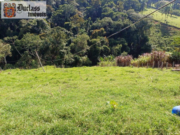 Imagem Chácara com 4 Quartos à Venda, 18.393 m² em Pedra Bela - Pedra Bela Imagem Chácara com 4 Quartos à Venda, 18.393 m² em Pedra Bela - Pedra Bela