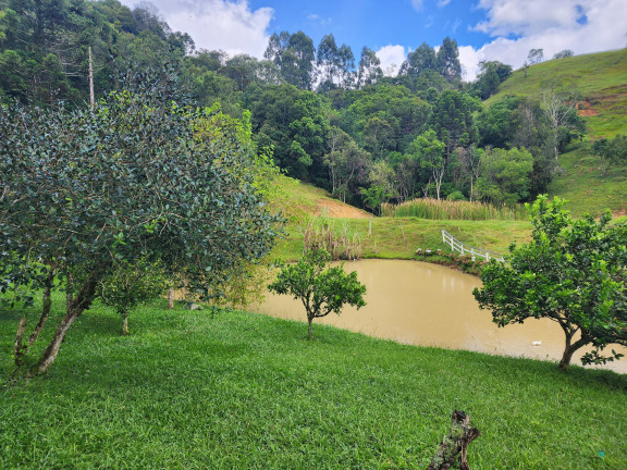 Imagem Imóvel com 3 Quartos à Venda, 77.860 m² em Zona Rural - Alfredo Wagner