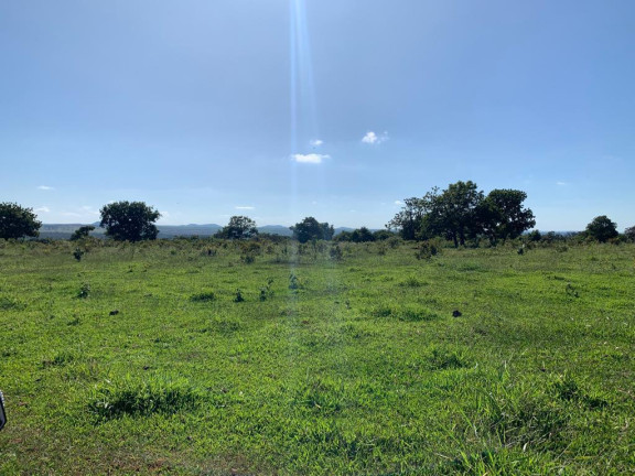 Imagem Fazenda à Venda, 440 m² em Rural - Campo Grande Imagem Fazenda à Venda, 440 m² em Rural - Campo Grande