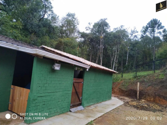 Imagem Imóvel com 3 Quartos à Venda, 16.200 m² em Zona Rural - Quatro Barras