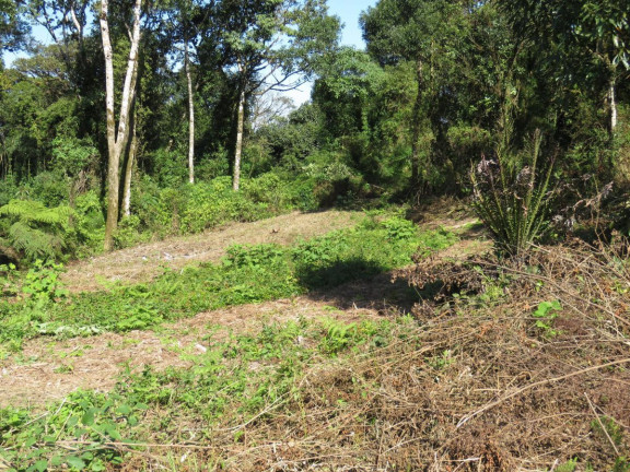 Imagem Terreno à Venda, 36.260 m² em Colonia Murici - São José Dos Pinhais Imagem Terreno à Venda, 36.260 m² em Colonia Murici - São José Dos Pinhais