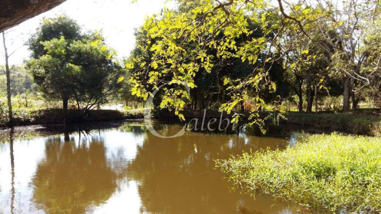 Imagem Chácara com 3 Quartos à Venda, 43.000 m² em Artur Nogueira