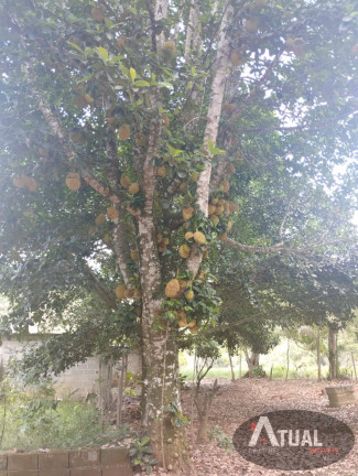 Imagem Terreno à Venda, 20 m² em Jequitibá - Igaratá Imagem Terreno à Venda, 20 m² em Jequitibá - Igaratá