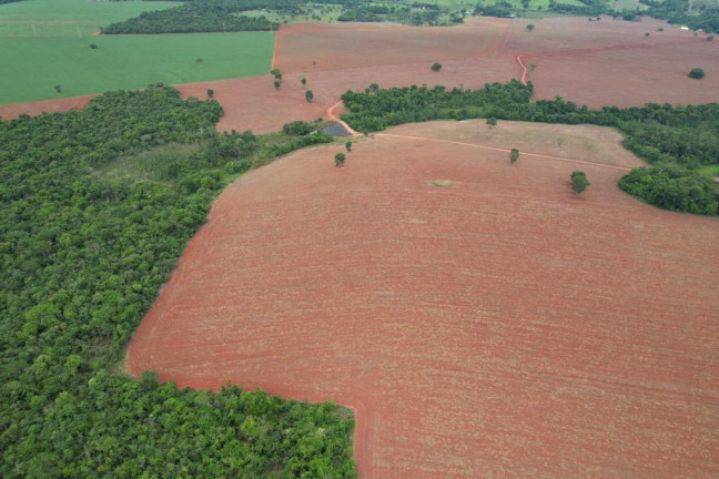 Imagem Fazenda à Venda, 60 m² em Zona Rural - Morrinhos Imagem Fazenda à Venda, 60 m² em Zona Rural - Morrinhos