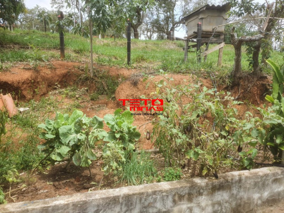 Imagem Imóvel com 2 Quartos à Venda, 190 m² em Zona Rural De São Lourenço - São Lourenço