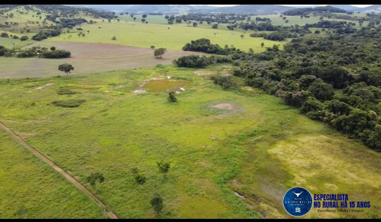 Imagem Fazenda à Venda, 30 m² em Zona Rural - Guapó