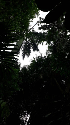 Imagem Terreno à Venda, em Vila Nossa Senhora De Fátima - São Vicente Imagem Terreno à Venda, em Vila Nossa Senhora De Fátima - São Vicente