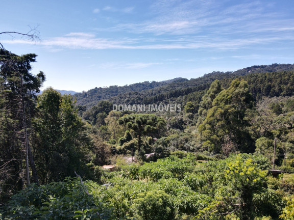 Imagem Terreno à Venda, 2.520 m² em Região Do Alto Da Boa Vista - Campos Do Jordão Imagem Terreno à Venda, 2.520 m² em Região Do Alto Da Boa Vista - Campos Do Jordão
