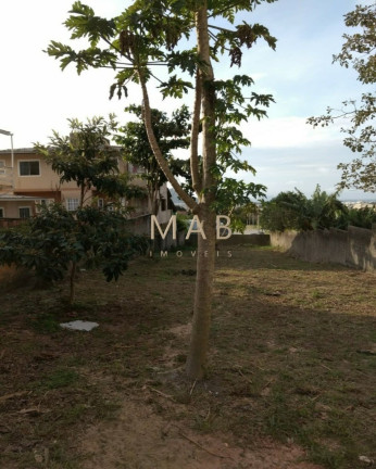 Imagem Terreno à Venda, 770 m² em Ingleses Do Rio Vermelho - Florianópolis