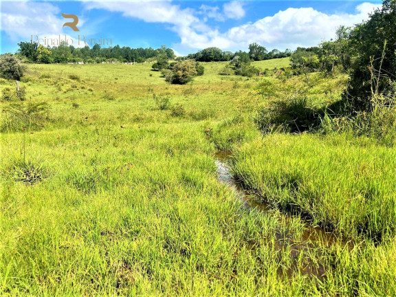 Imagem Chácara à Venda, 140.000 m² em Morungava - Gravataí Imagem Chácara à Venda, 140.000 m² em Morungava - Gravataí