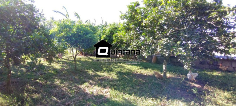 Imagem Imóvel com 1 Quarto à Venda, 230.000 m² em Santo Amor - Morro Redondo
