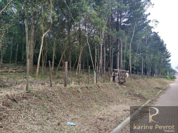 Imagem Terreno à Venda, 300 m² em Campestre - São Leopoldo Imagem Terreno à Venda, 300 m² em Campestre - São Leopoldo