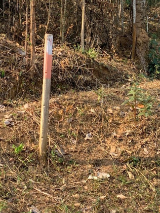 Imagem Imóvel à Venda, 1.000 m² em Mirante Da Mata - Nova Lima