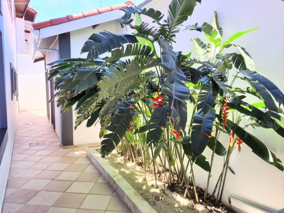 Imagem Casa com 4 Quartos à Venda, 170 m² em Stella Maris - Peruíbe Imagem Casa com 4 Quartos à Venda, 170 m² em Stella Maris - Peruíbe