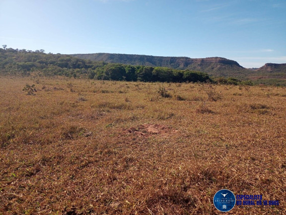 Imagem Fazenda à Venda, 38 m² em Zona Rural - Perolândia Imagem Fazenda à Venda, 38 m² em Zona Rural - Perolândia