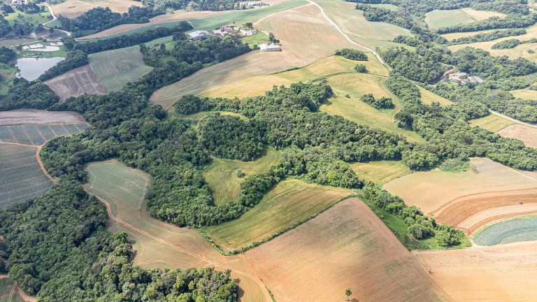 Imagem Terreno à Venda, 145.200 m² em Vila Dom Pedro Ii - Campo Largo