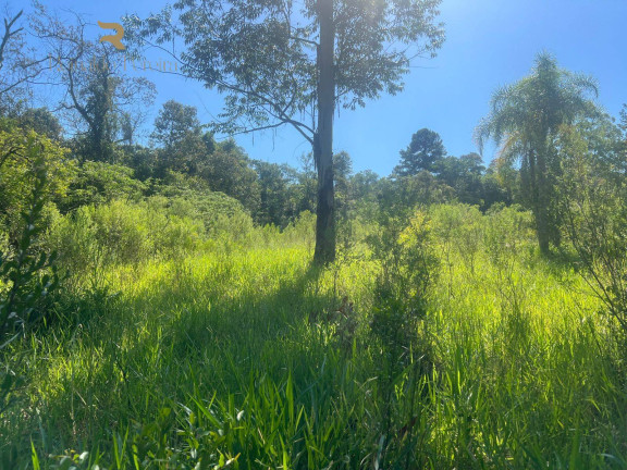 Imagem Chácara com 2 Quartos à Venda, 37.000 m² em Pinheirinho - Capela De Santana Imagem Chácara com 2 Quartos à Venda, 37.000 m² em Pinheirinho - Capela De Santana
