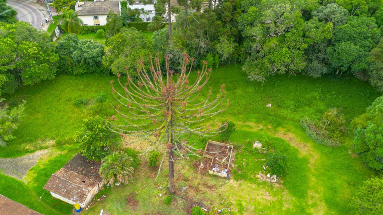 Imagem Terreno à Venda, 4.250 m² em Campo Comprido - Curitiba