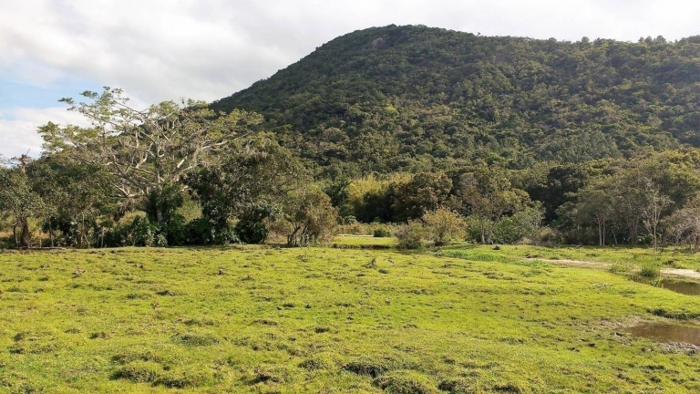 Imagem Chácara à Venda, 4.800 m² em São João Do Rio Vermelho - Florianópolis Imagem Chácara à Venda, 4.800 m² em São João Do Rio Vermelho - Florianópolis