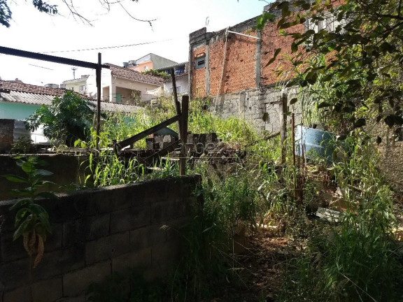 Imagem Terreno à Venda, 225 m² em Vila Zat - São Paulo Imagem Terreno à Venda, 225 m² em Vila Zat - São Paulo