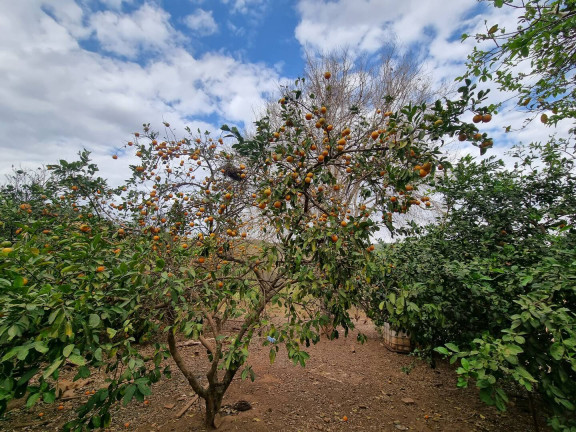 Imagem Fazenda à Venda, 9 m² em Interlândia - Anápolis