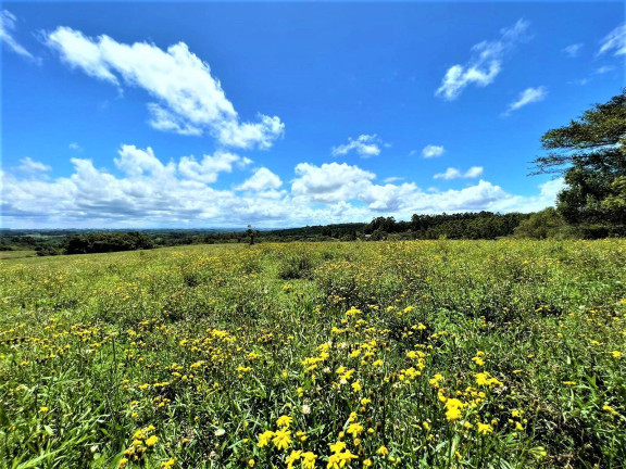 Imagem Chácara à Venda, 1 m² em Fiuza - Viamão Imagem Chácara à Venda, 1 m² em Fiuza - Viamão