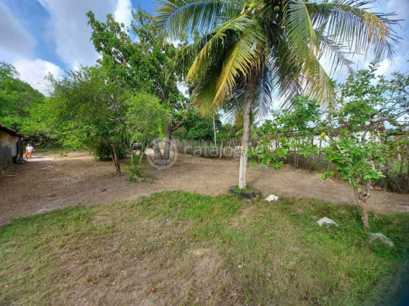 Imagem Fazenda à Venda, 2.000 m² em Zona Rural - São José De Mipibu Imagem Fazenda à Venda, 2.000 m² em Zona Rural - São José De Mipibu