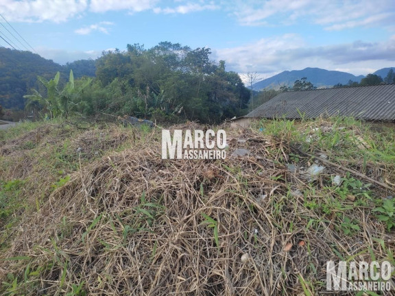 Imagem Terreno à Venda, 1 m² em Chico De Paula - Jaraguá Do Sul Imagem Terreno à Venda, 1 m² em Chico De Paula - Jaraguá Do Sul
