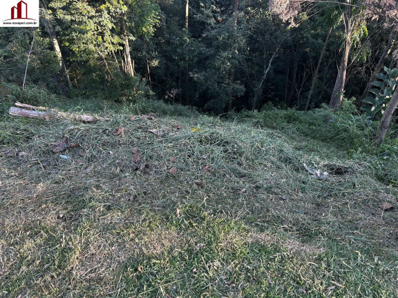 Terreno à Venda, 150 m² em Serpa - Caieiras