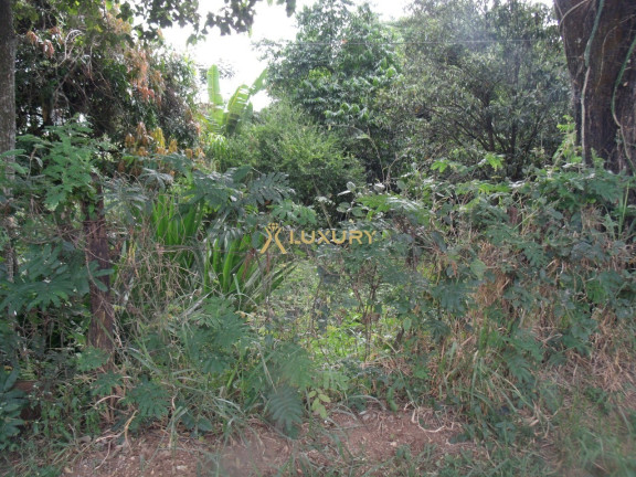 Imagem Imóvel à Venda, 26.000 m² em Maçarico - Vespasiano