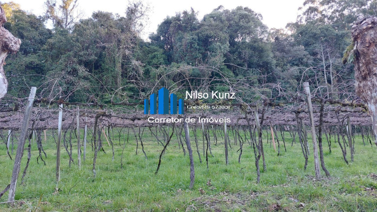Imagem Chácara à Venda, 34.218 m² em Garibaldi