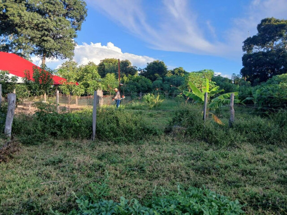 Chácara à Venda, 35 m² em Arapongas
