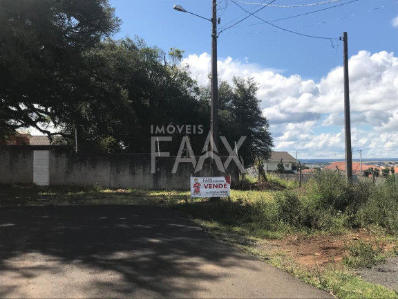 Terreno à Venda, 325 m² em Alto Da Xv - Guarapuava