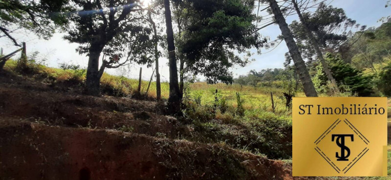 Imagem Chácara com 3 Quartos à Venda, 72.000 m² em Estância Santa Maria Do Portão - Atibaia Imagem Chácara com 3 Quartos à Venda, 72.000 m² em Estância Santa Maria Do Portão - Atibaia