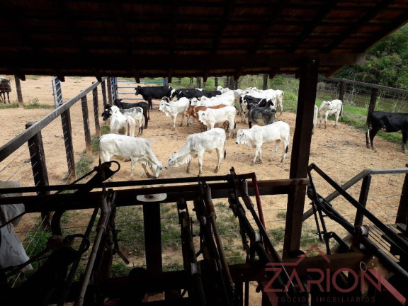 Imagem Fazenda à Venda, 138 m² em área Rural De Lorena - Lorena Imagem Fazenda à Venda, 138 m² em área Rural De Lorena - Lorena