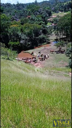 Imagem Chácara com 2 Quartos à Venda, 142.000 m² em Santa Isabel