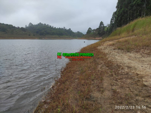 Imagem Chácara à Venda, 15.000 m² em Sob. Consulta - Paraibuna Imagem Chácara à Venda, 15.000 m² em Sob. Consulta - Paraibuna