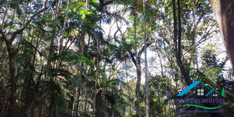 Imagem Chácara à Venda, 155 m² em Centro - Paraisópolis