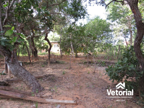 Imagem Imóvel com 2 Quartos à Venda, em Chácara - Val Da Boa Esperança ( Leia A Descrição ) - Barreiras Imagem Imóvel com 2 Quartos à Venda, em Chácara - Val Da Boa Esperança ( Leia A Descrição ) - Barreiras