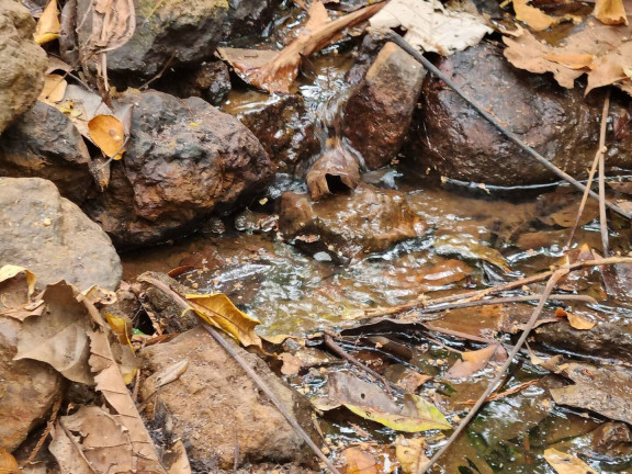 Imagem Fazenda à Venda, 9 m² em Interlândia - Anápolis