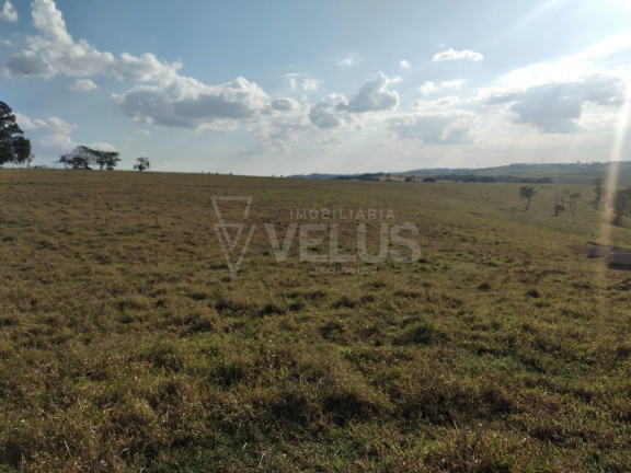 Imagem Imóvel à Venda, 242.000 m² em Santa Cruz Dos Matos - Itapetininga